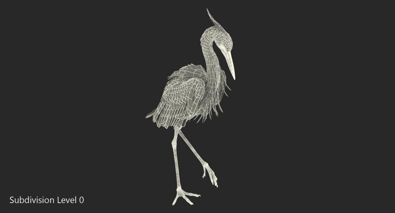 3D model Grey Heron Standing on One Leg
