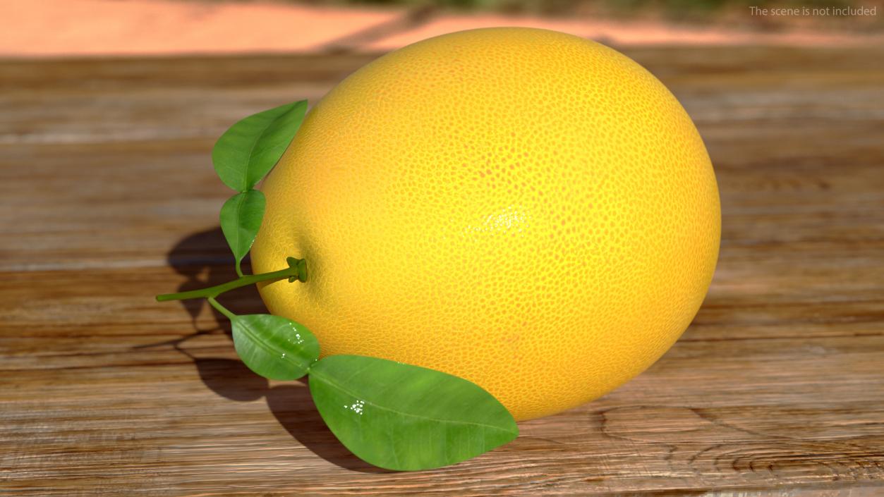 Pomelo Fruit Orange 3D model