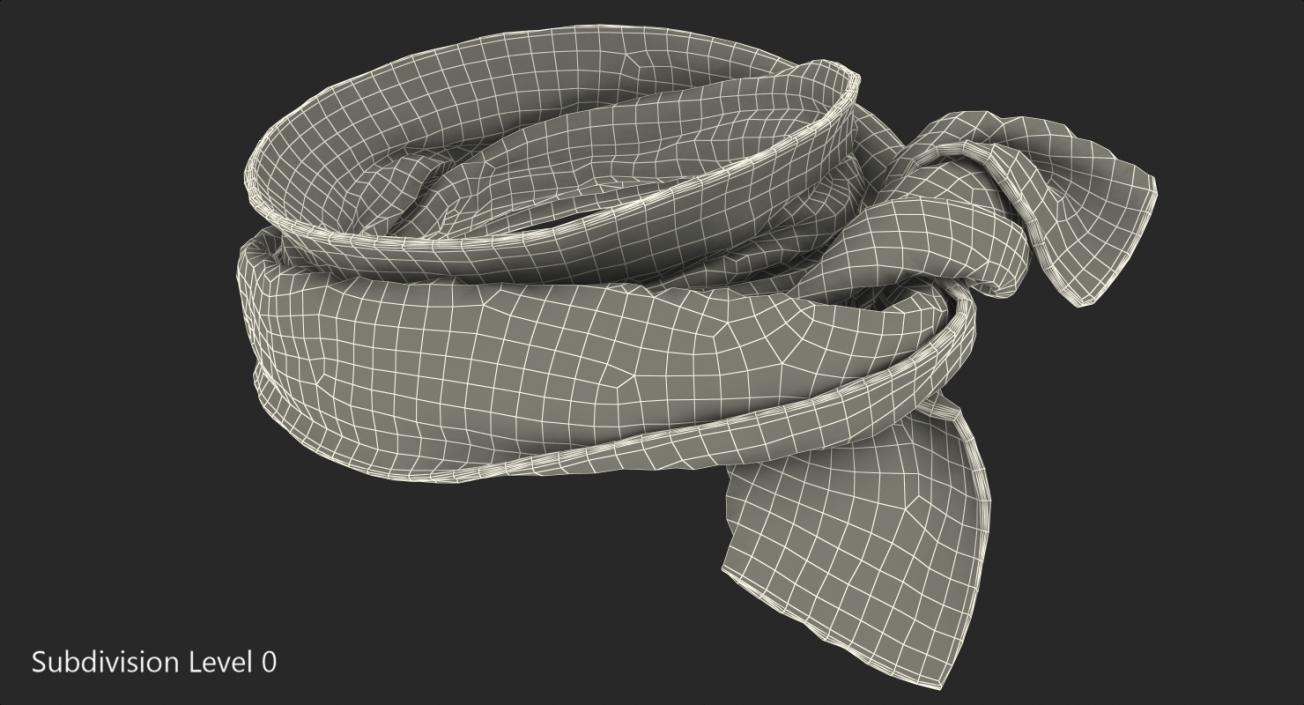3D Colored Scarf model