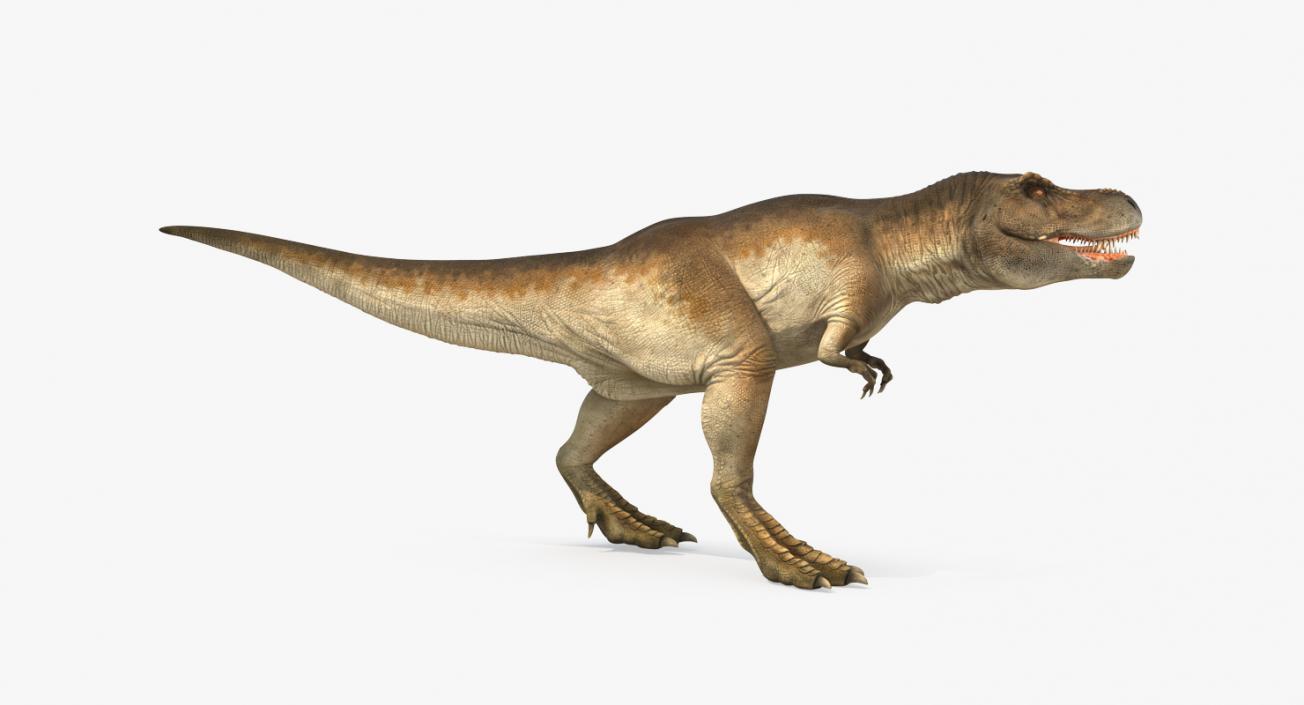 Tyrannosaurus Rex Rigged 3D model