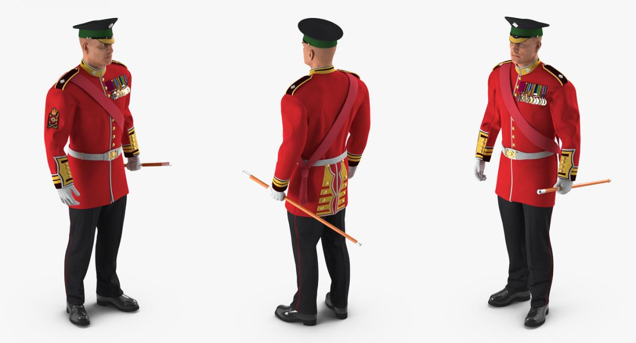 Irish Guard Sergeant Standing 3D model