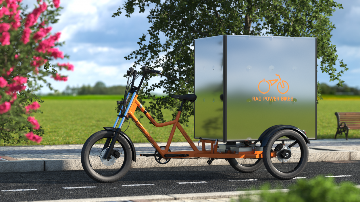3D Rad Power Bike RadBurro with Cargo Box model