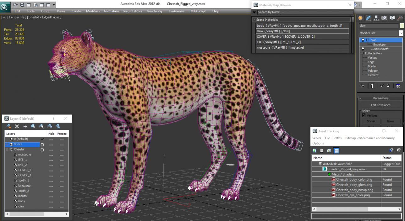 Cheetah Rigged 3D model