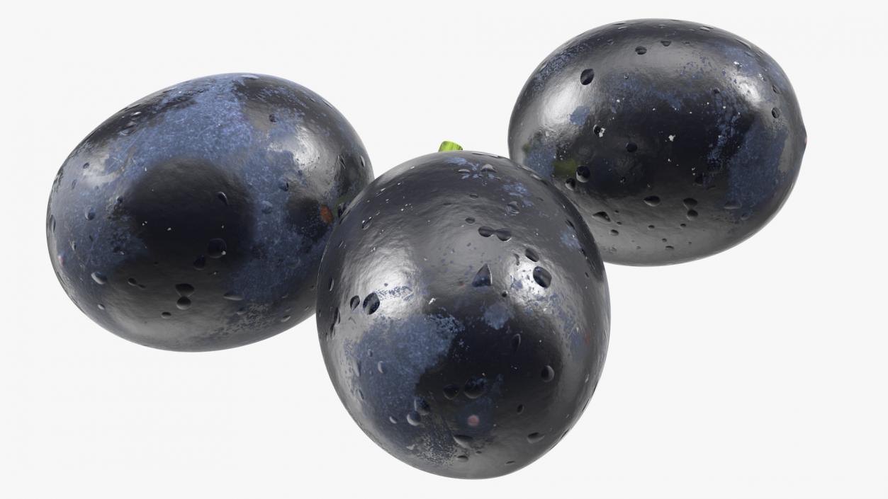 Black Grapes 3D
