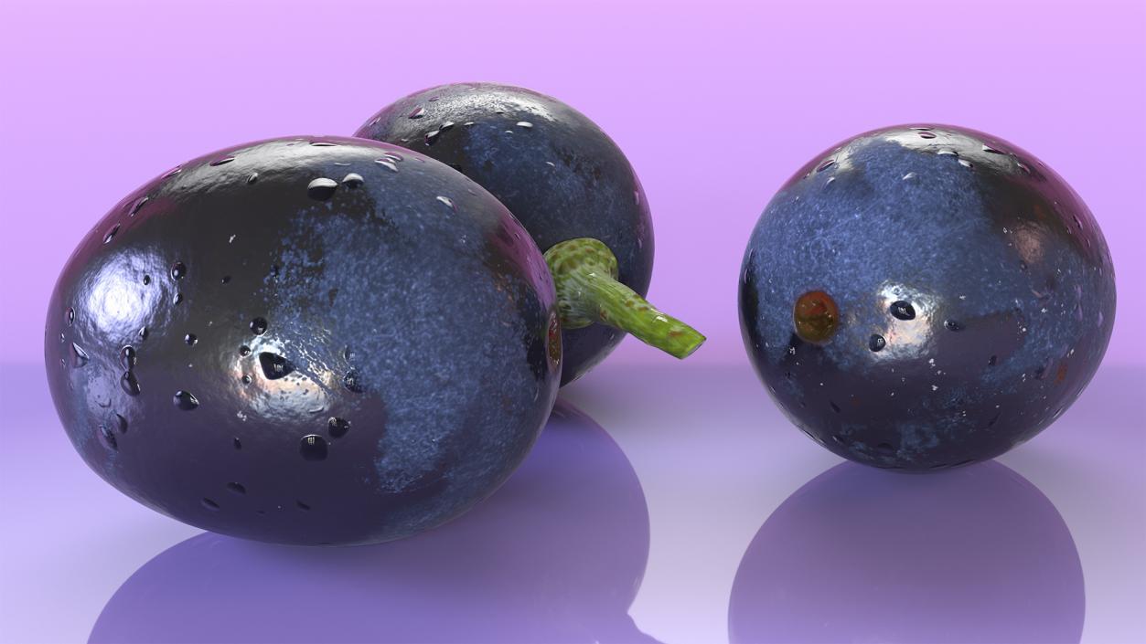 Black Grapes 3D