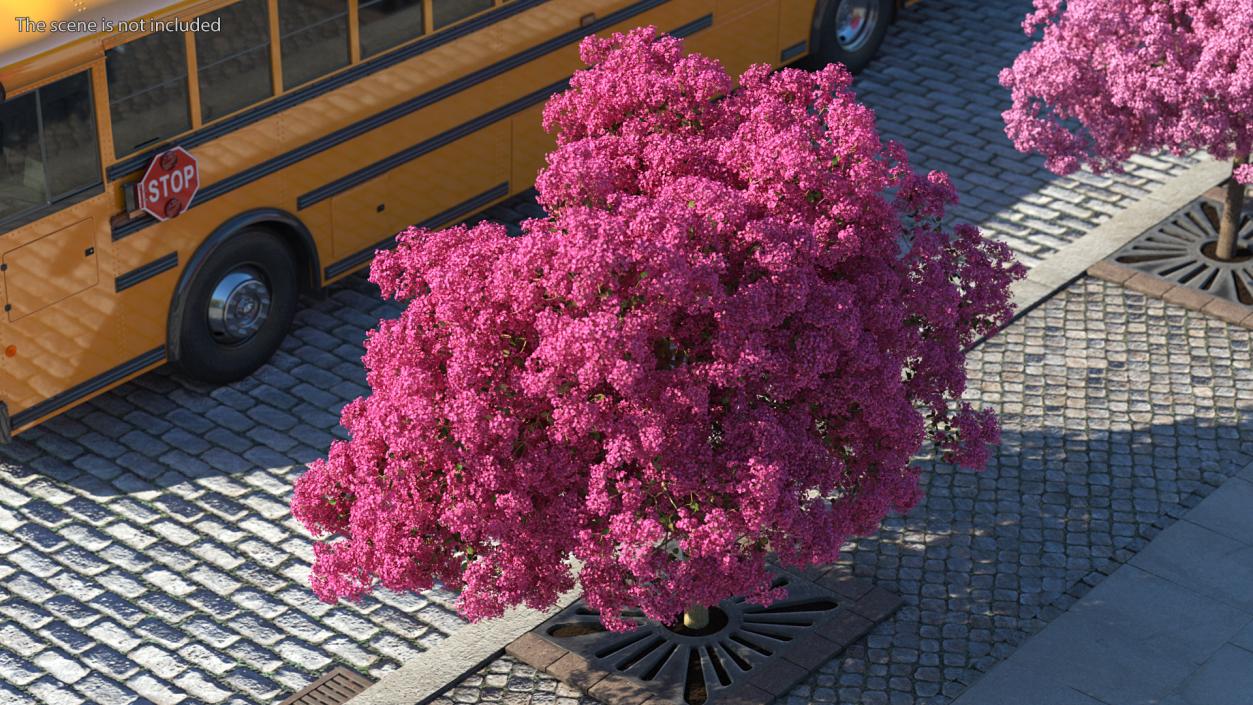 Handroanthus Impetiginosus Foliage 3D model