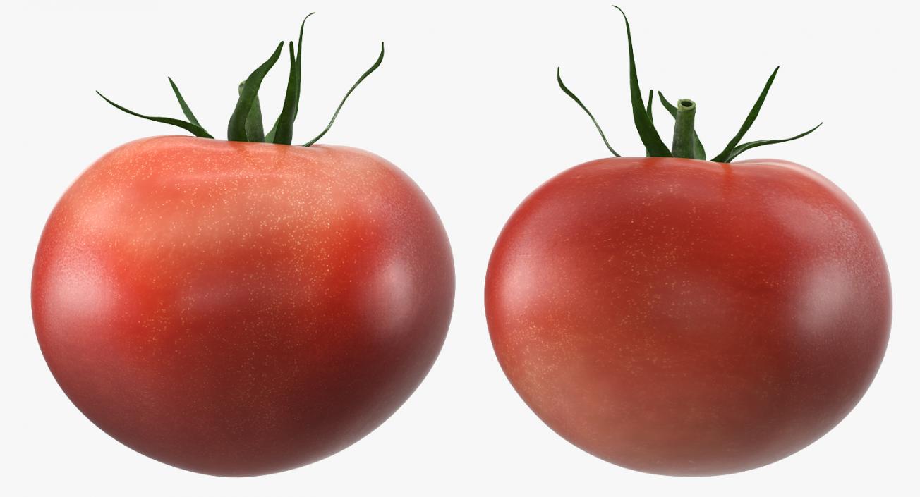 3D model Tomato