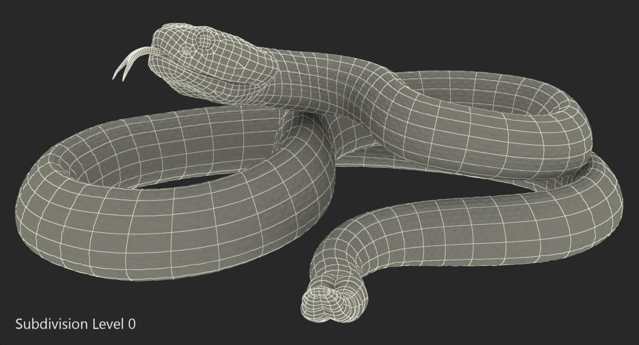 Light Rattlesnake 3D
