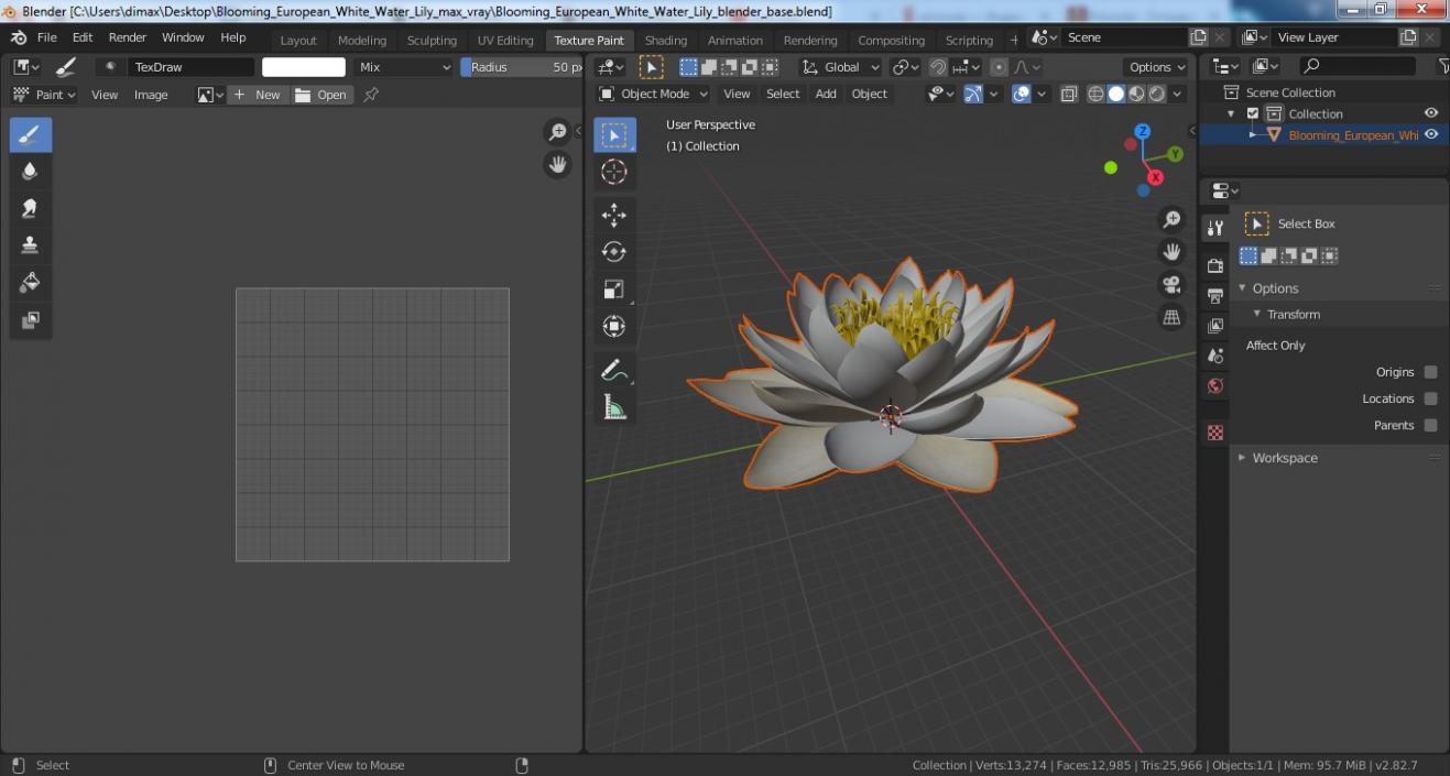 Blooming European White Water Lily 3D model