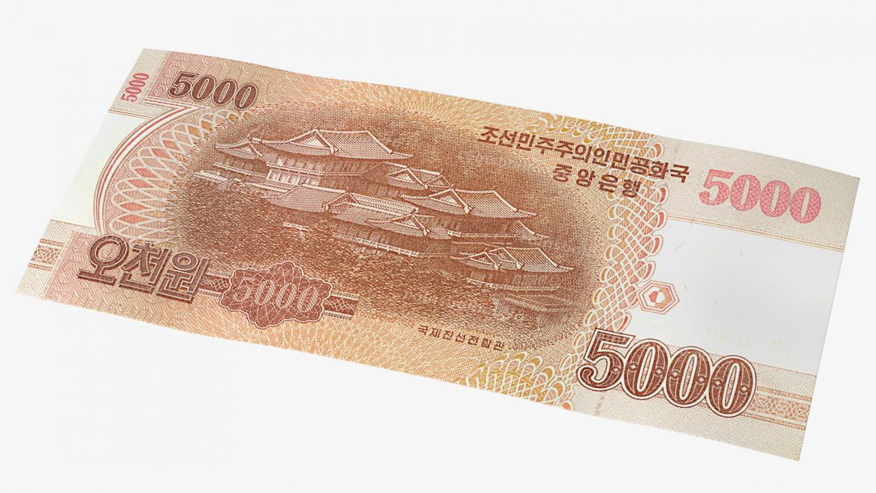 3D model North Korea 5000 Won Banknotes 2013 Pack