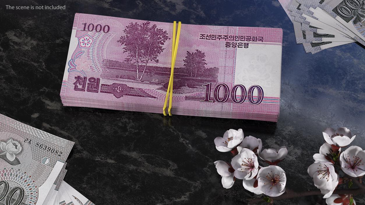 Stack of North Korea 1000 Won 3D model