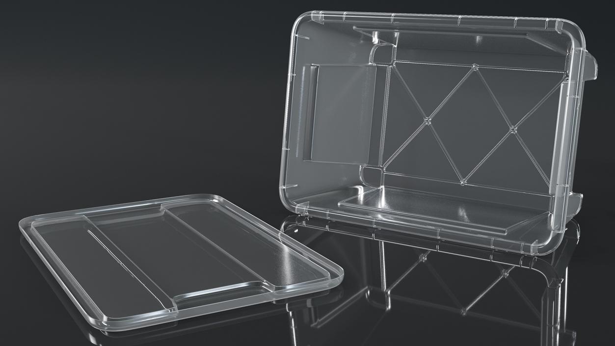 3D Transparent Plastic Container with Lid model