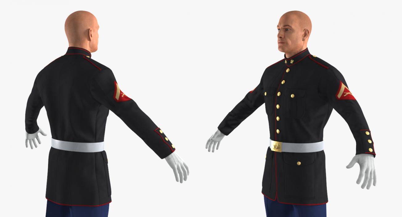 3D US Marine Corps Soldier in Parade Uniform Rigged model