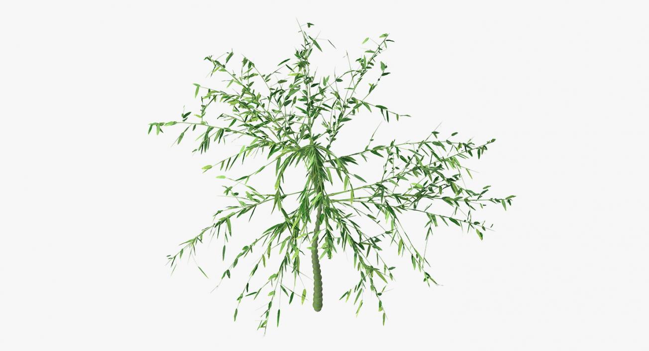 3D model Single Branch Bamboo Tree