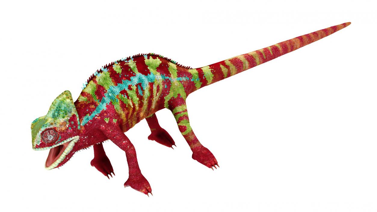 3D Chameleon Red model