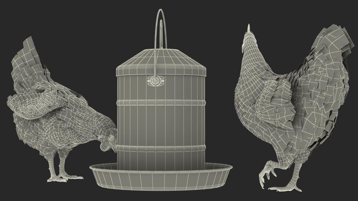 3D model Poultry Feeder with Chickens Rigged