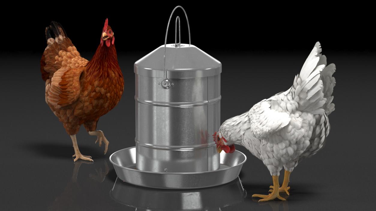 3D model Poultry Feeder with Chickens Rigged