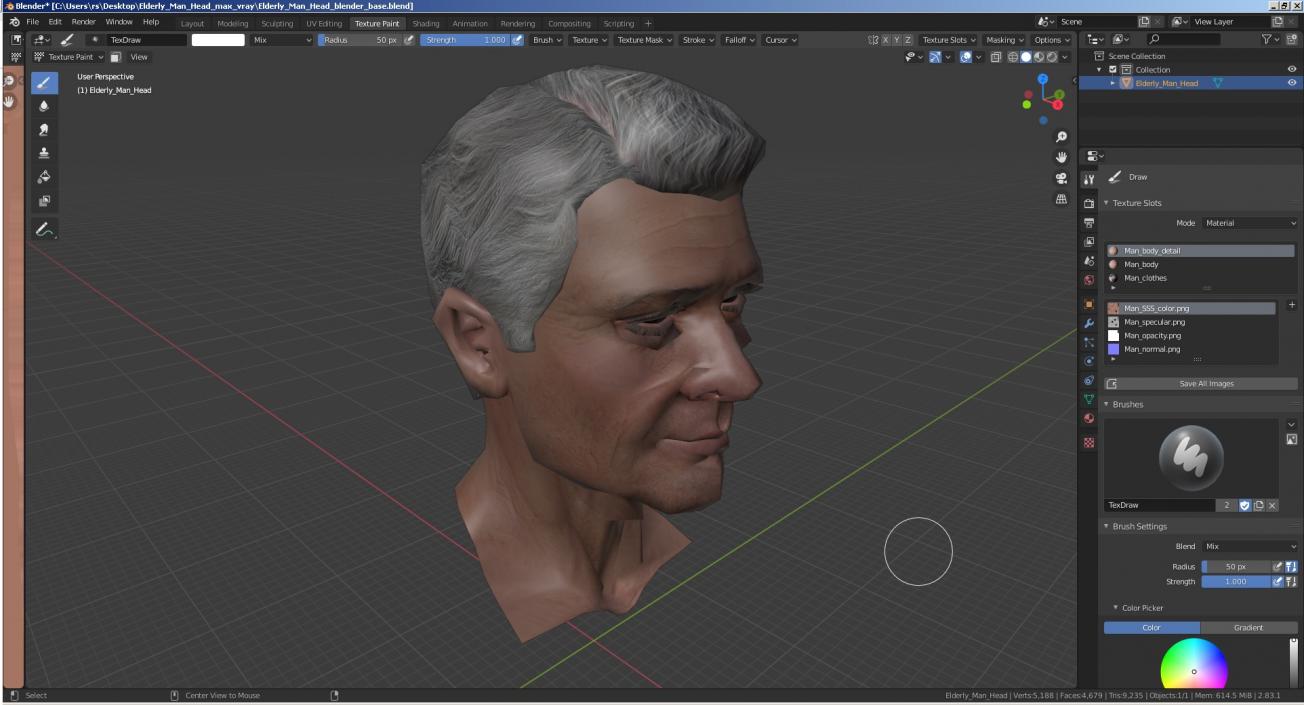 3D Elderly Man Head