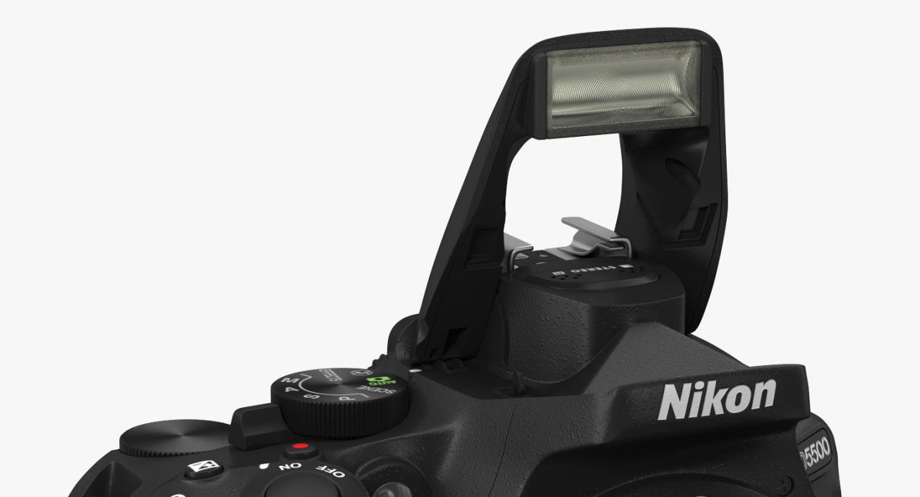 3D Digital Camera Nikon D5500