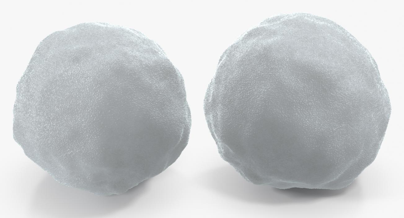3D model Snowball