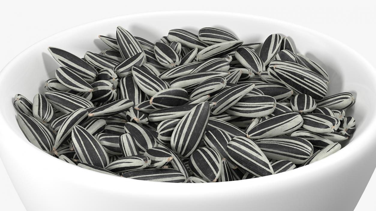 3D Striped Sunflower Seeds in a Bowl model