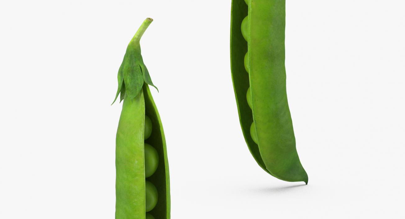 Open Green Peas Pod 3D model