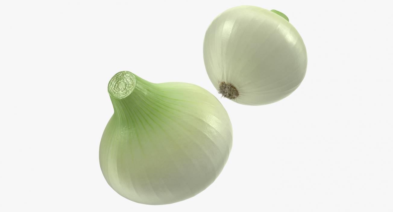 Onion 3D model