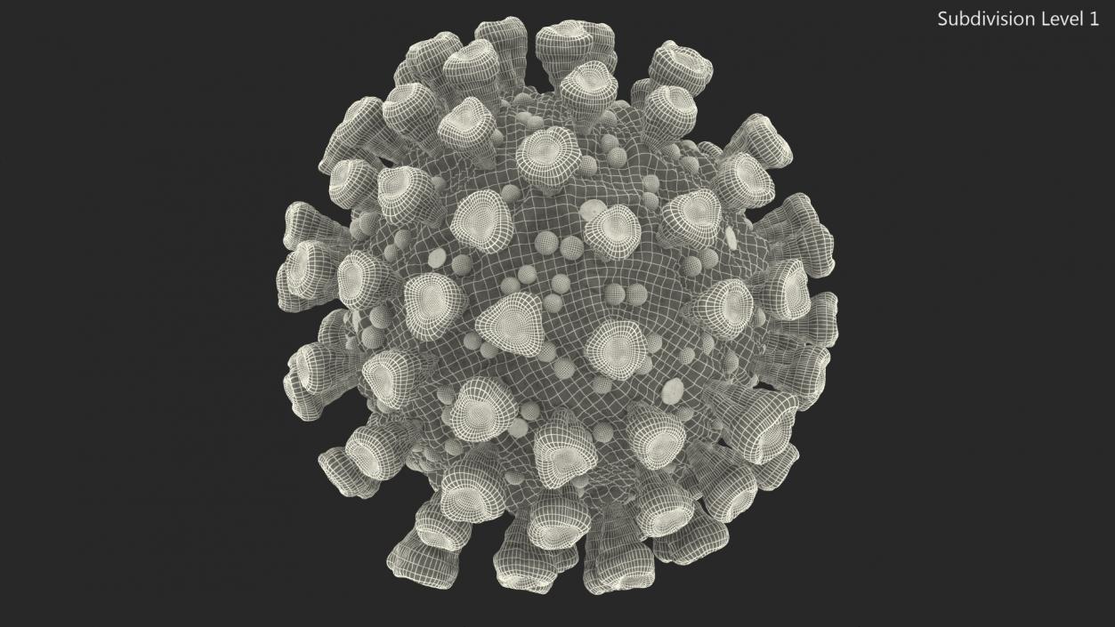 3D model Coronavirus SARS-CoV