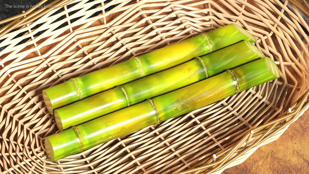 Fresh Sugarcane Sticks 3D