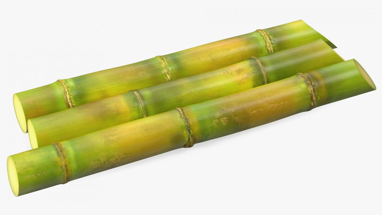 Fresh Sugarcane Sticks 3D