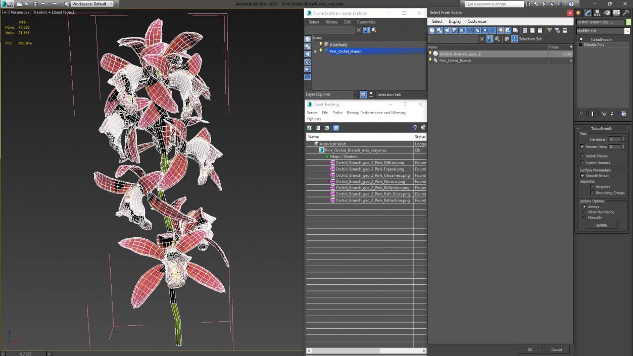 3D Pink Orchid Branch model