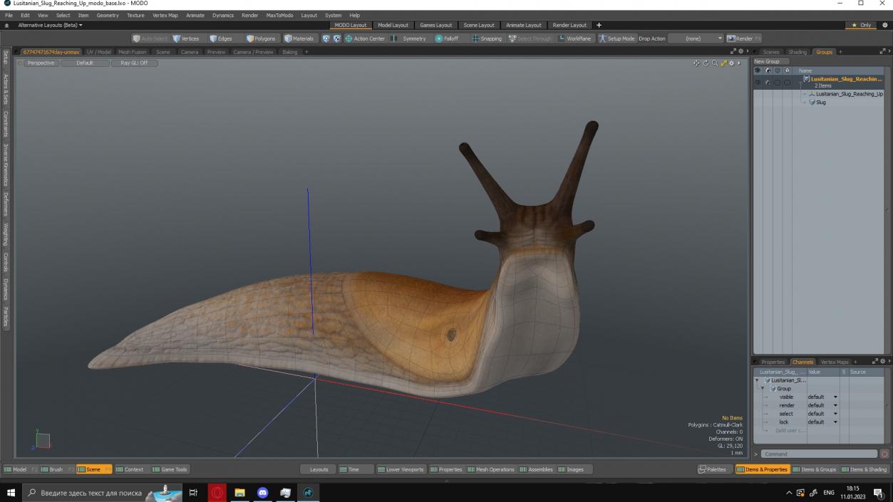 Lusitanian Slug Reaching Up 3D