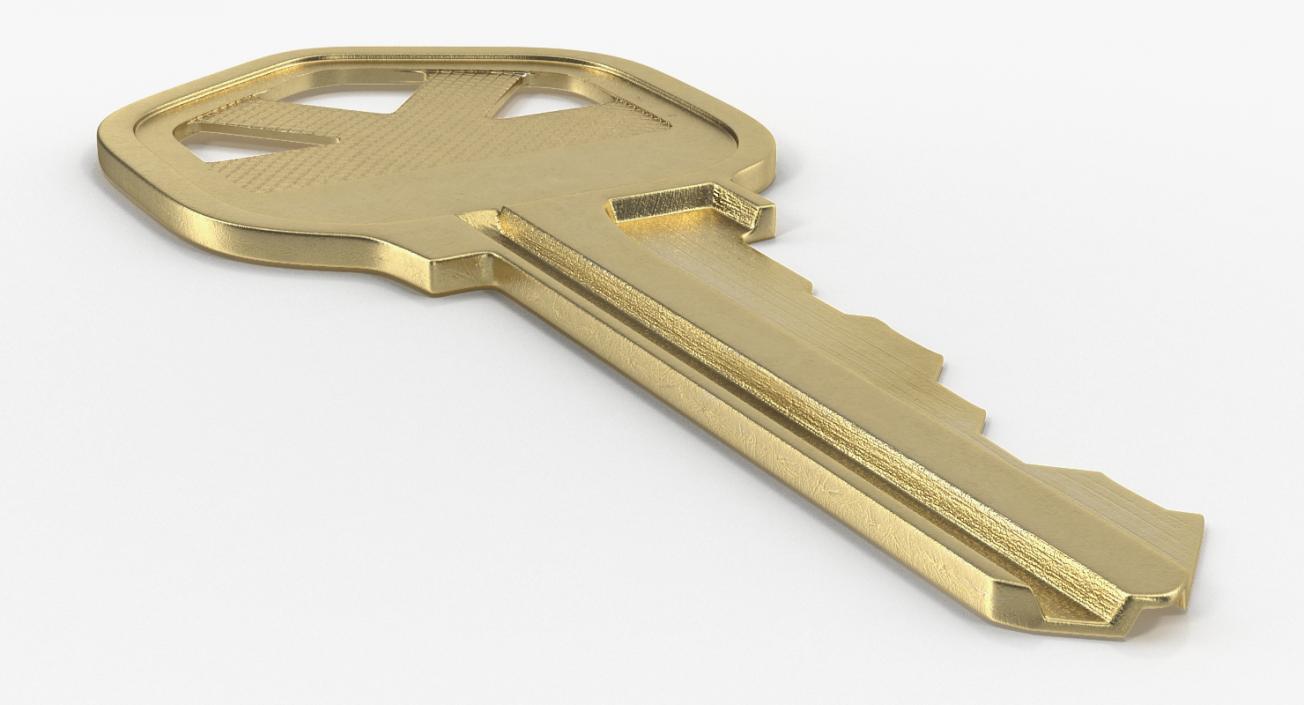 3D Bronze House Key