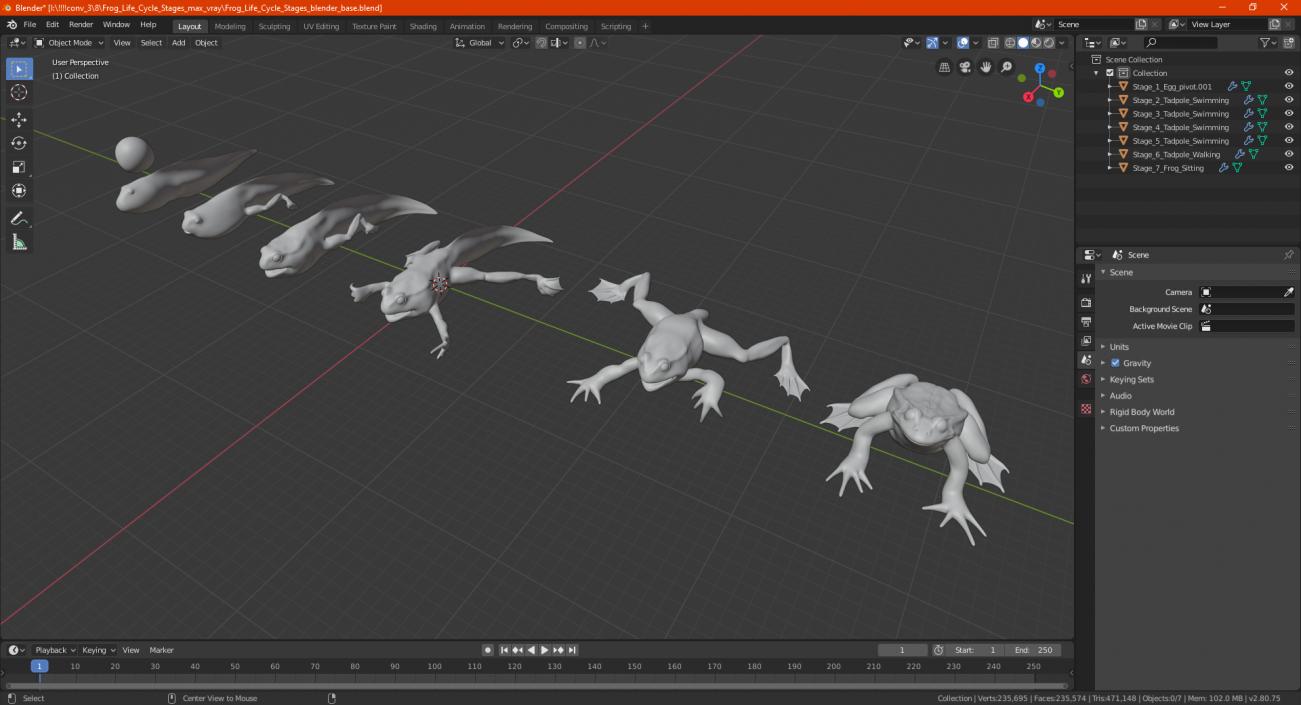 Frog Life Cycle Stages 3D