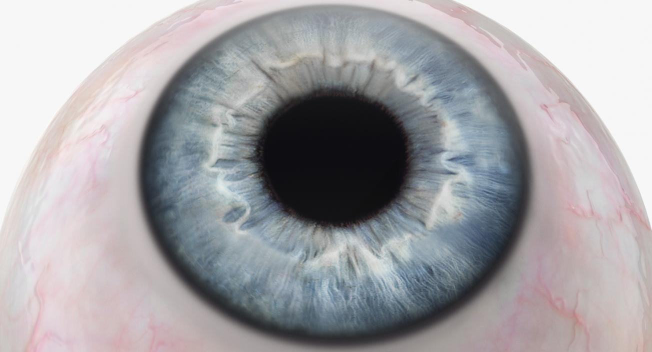 Blue Human Eye 3D model