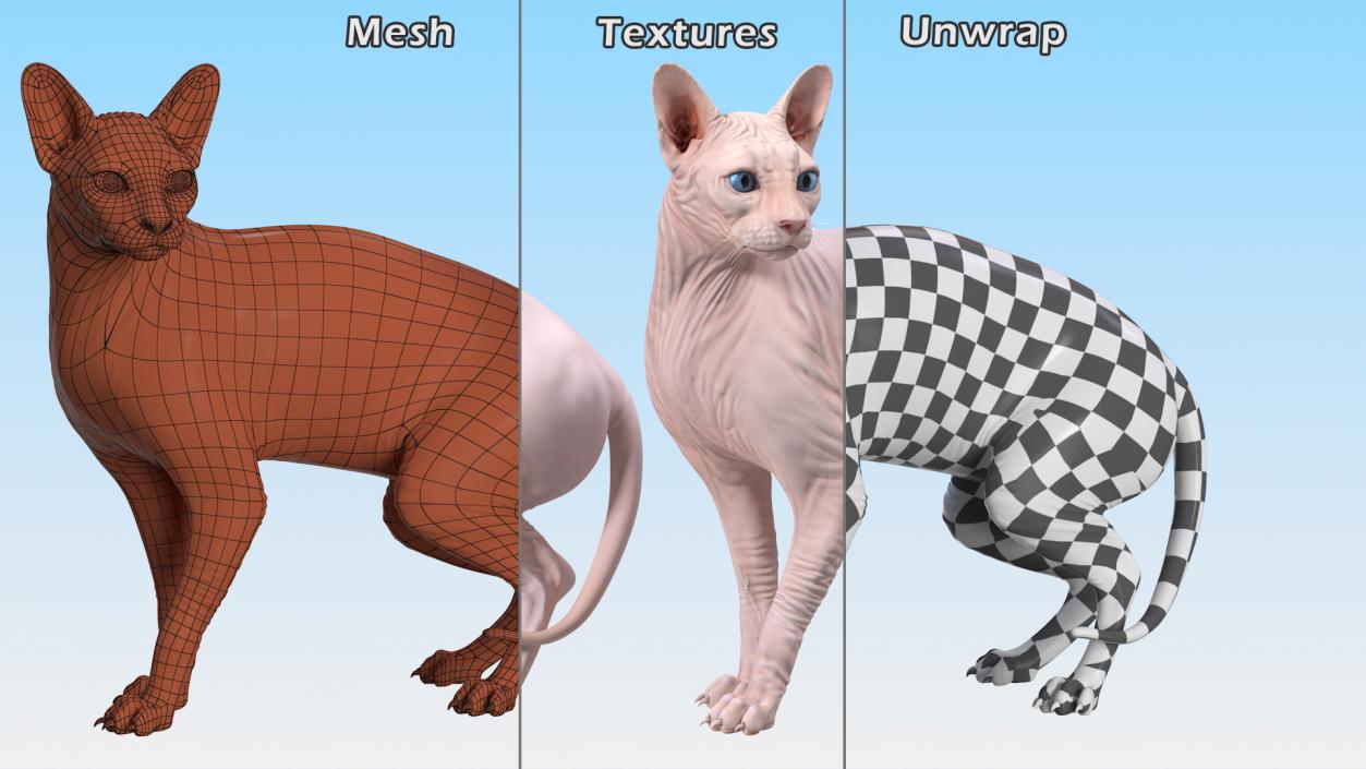 Cream Color Sphynx Cat 3D