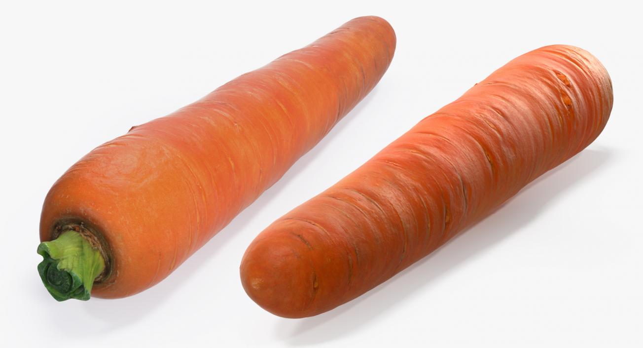 Carrot 3d Modification.