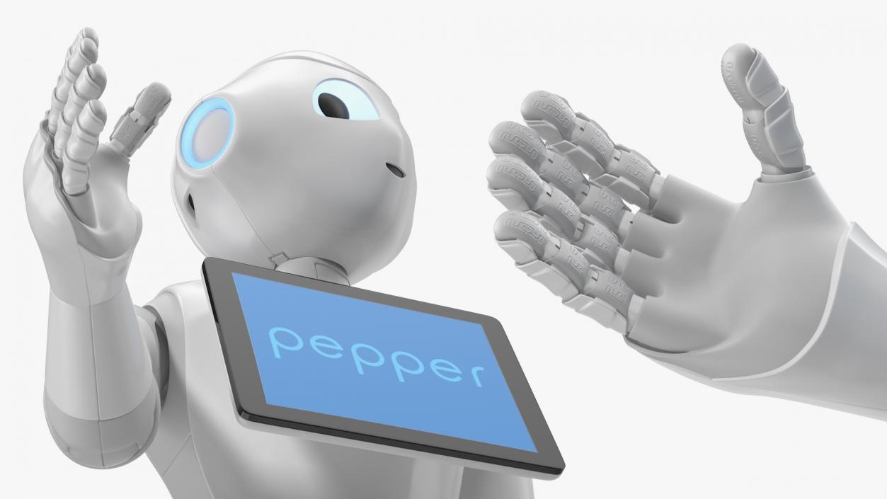 Information Display Pepper Robot 3D