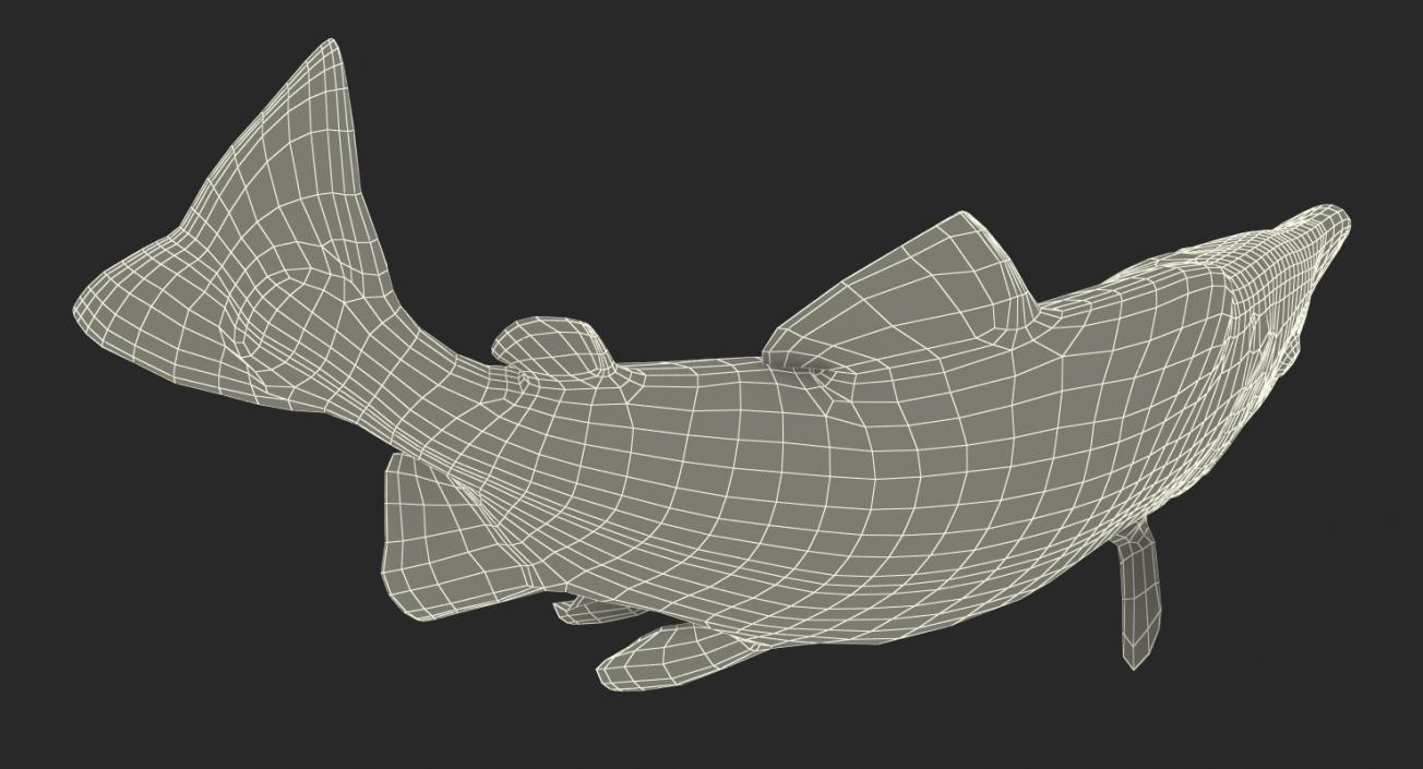 Pink Salmon Swiming Pose 3D model