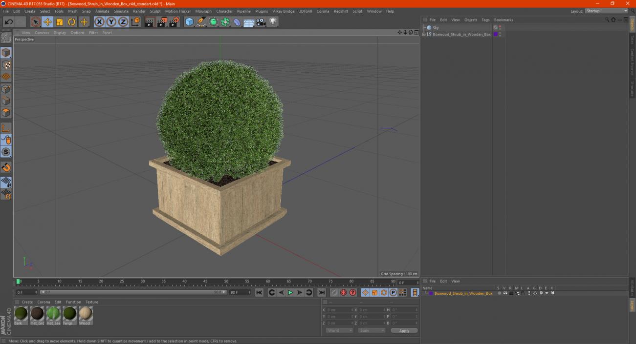 Boxwood Shrub in Wooden Box 3D