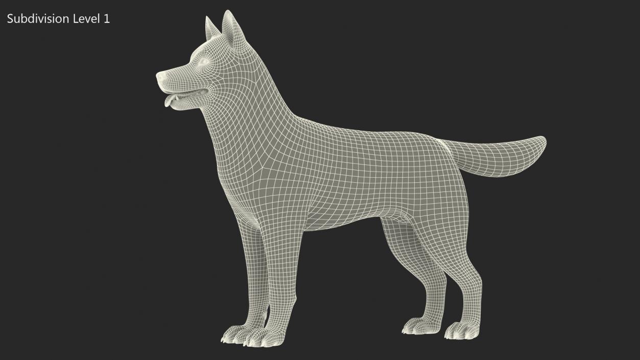 Husky Dog Copper and White Fur Rigged 3D