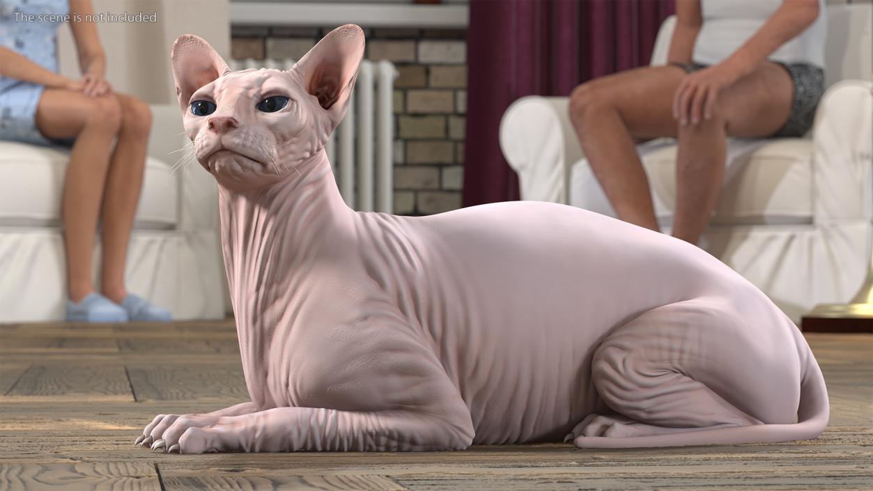 3D Cream White Sphynx Cat Lying Pose model