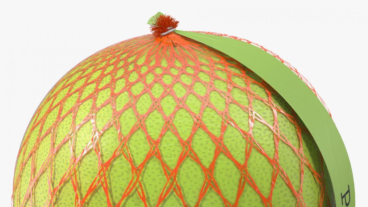 3D model Pomelo Green Fruit Package Fur