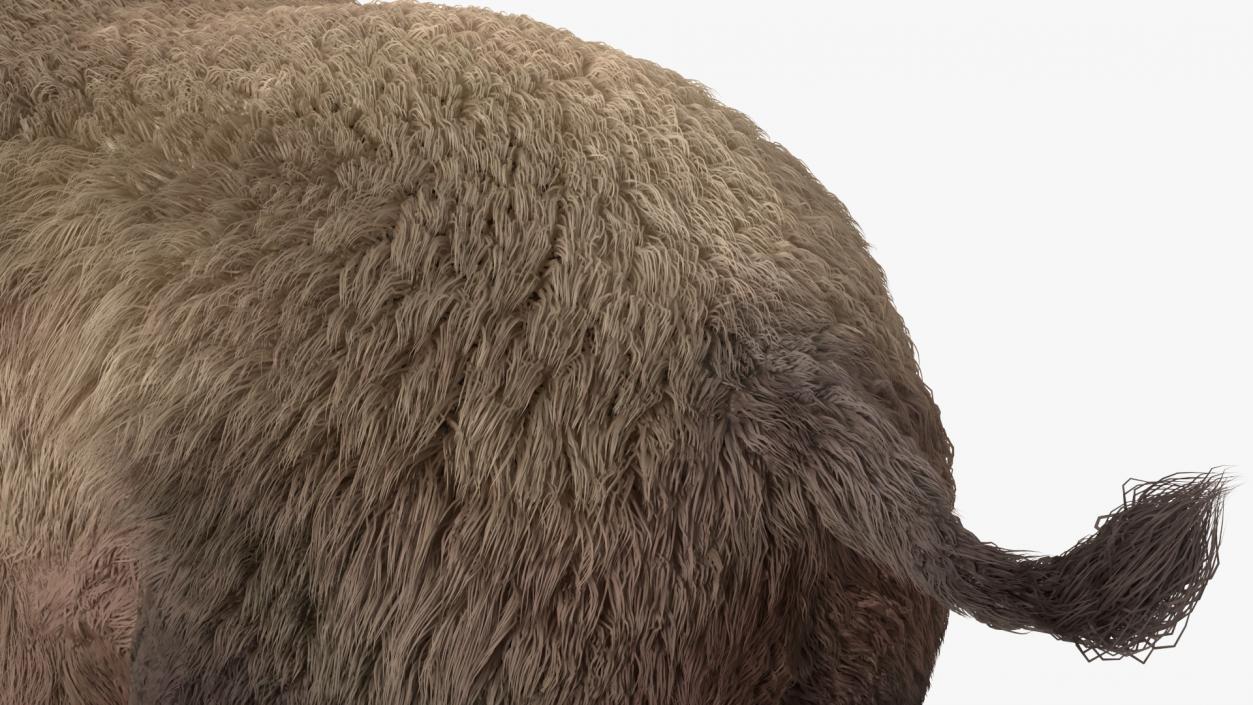 Elasmatherium Siberian Unicorn Neutral Pose Fur 3D
