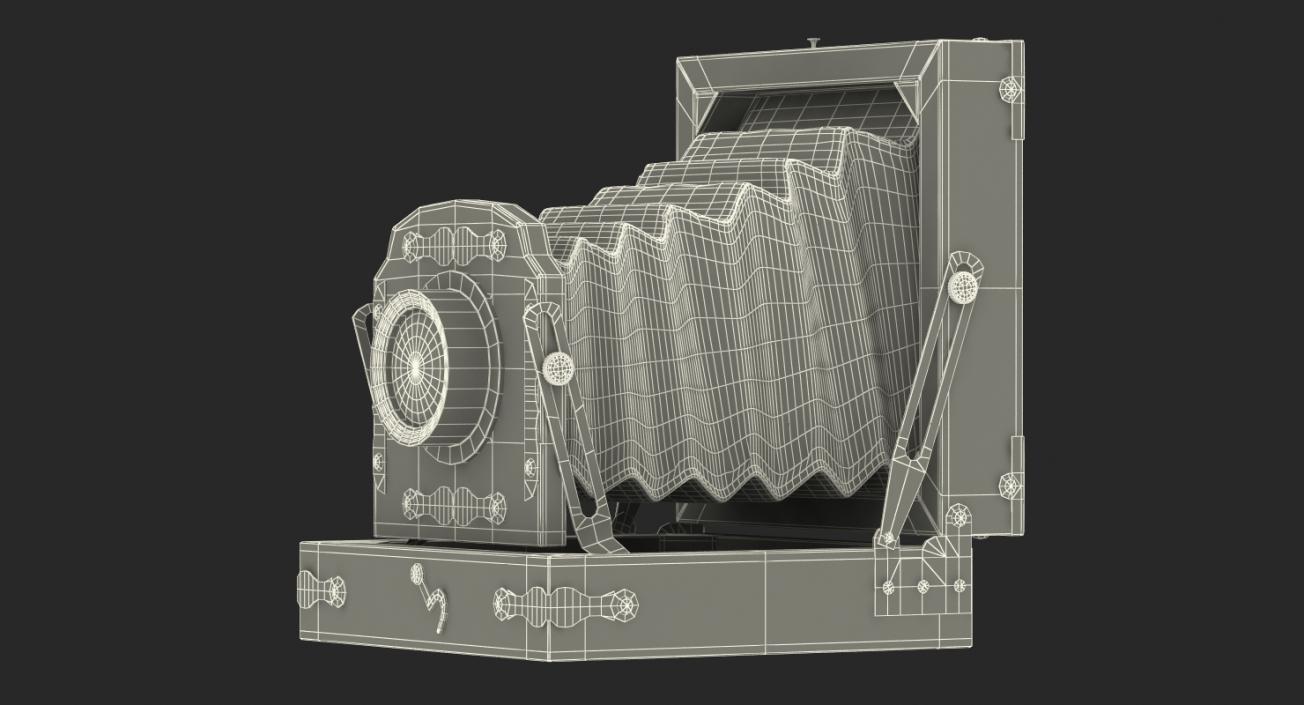 Antique Folding Camera 3D