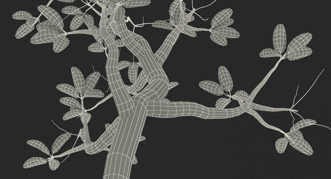Mangrove Small Tree 3D model
