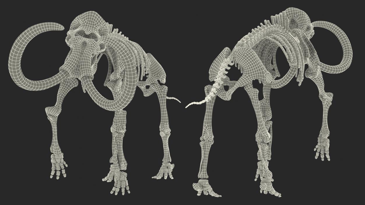3D Mammoth Skeleton Clean Bones Walking Pose