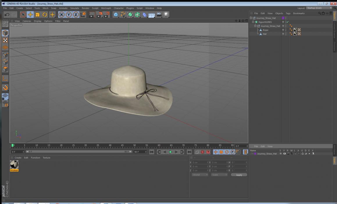 Journey Straw Hat 3D