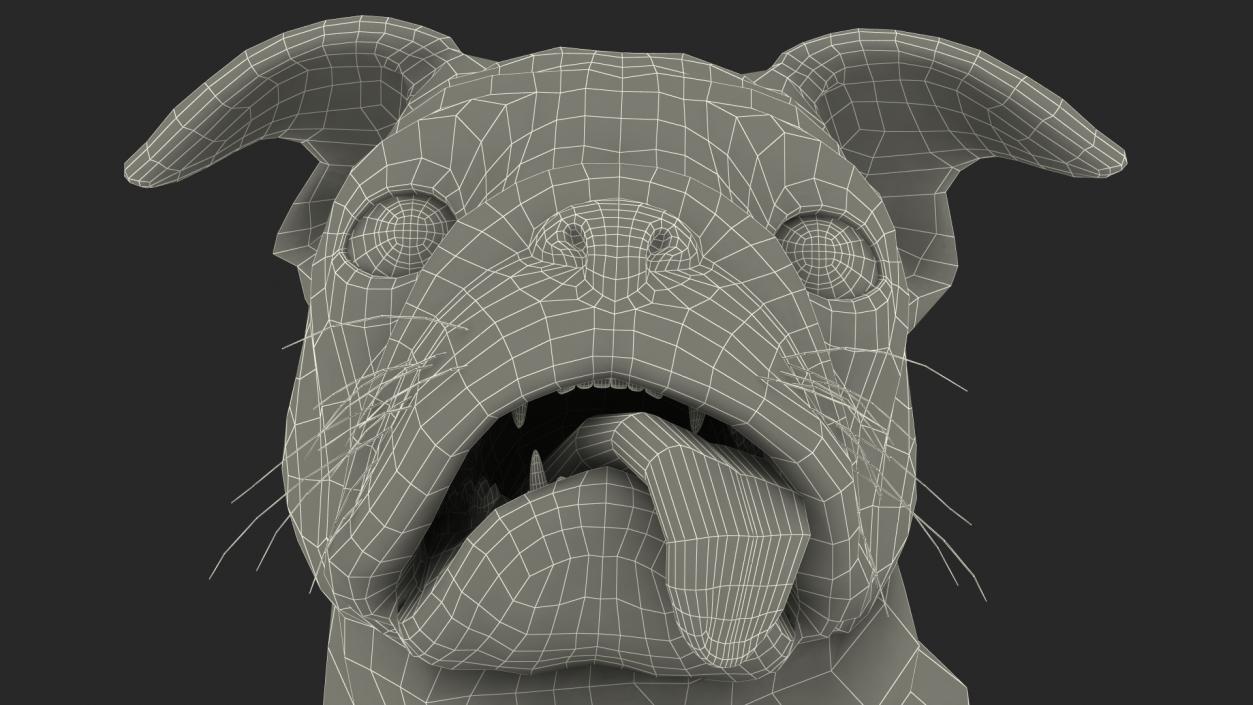 3D model Pug Dog Run Pose Fur