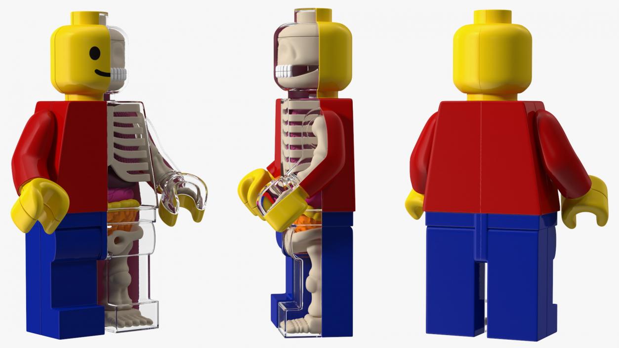 3D Anatomical LEGO Man Transparent